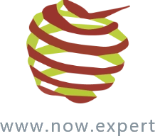 logo-now-expert